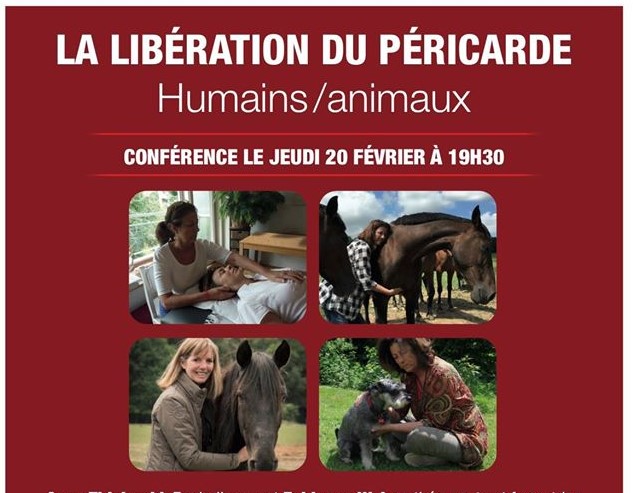 Conférence - Salon du Cheval WEX 2019 à Libramont Le 20 avril 2019 à 11h30 « La Libération du Péricarde pour les chevaux et tous les être vivants - Sa puissance - Ses secrets »